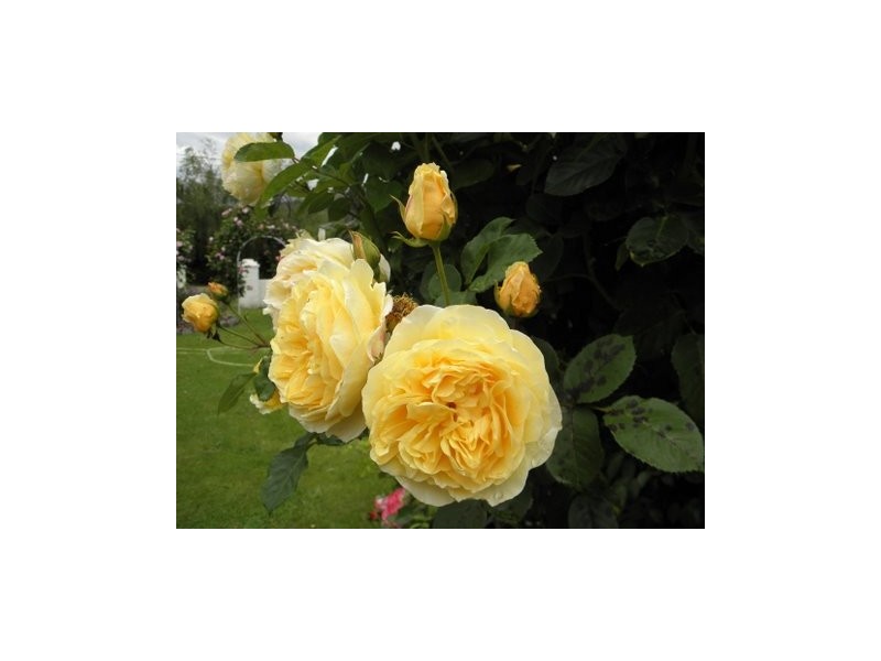 15 Wilsons Road, Deep Bay TAS 7112