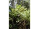 Oyster Cove TAS 7150