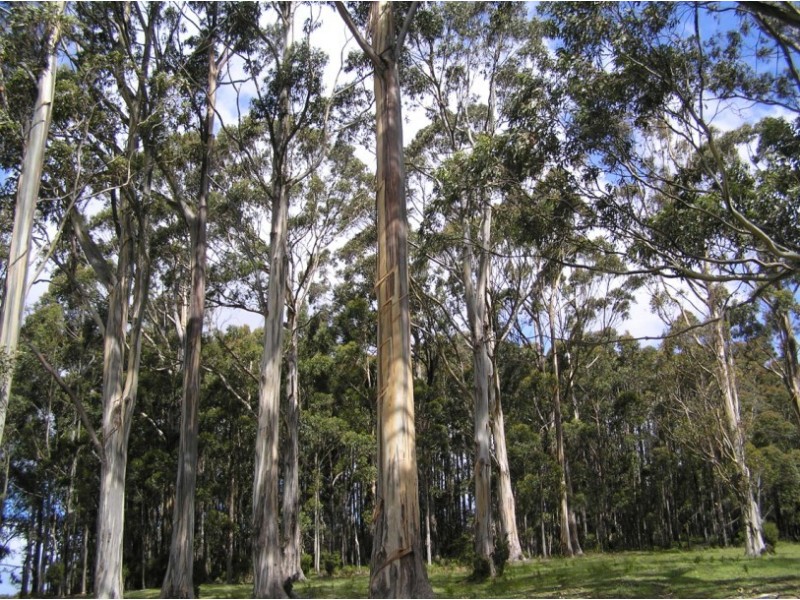 Oyster Cove TAS 7150