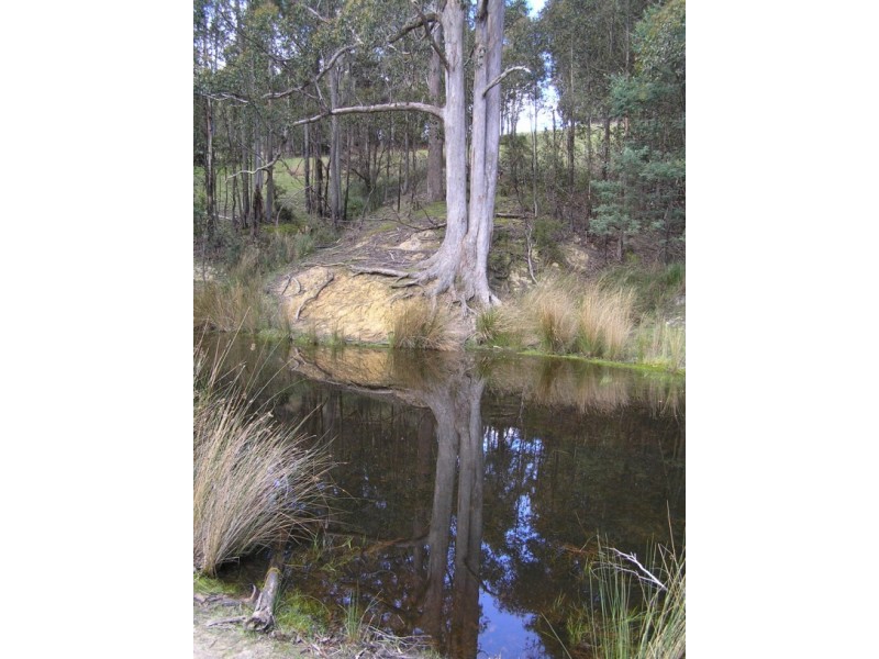 Oyster Cove TAS 7150