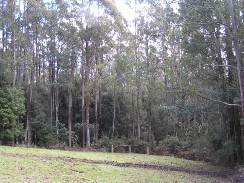 Oyster Cove TAS 7150