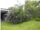 194 Roslyn Avenue, Blackmans Bay TAS 7052