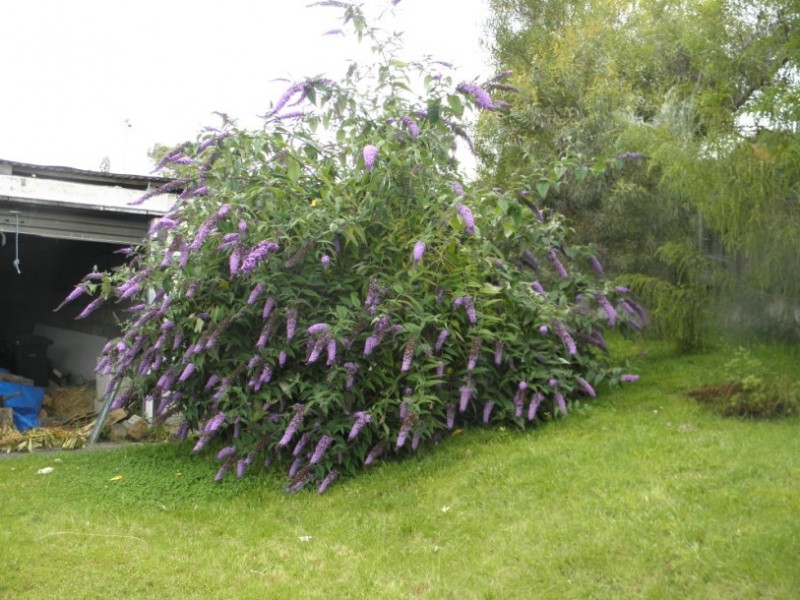 194 Roslyn Avenue, Blackmans Bay TAS 7052