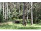 38 Bruschs Road, Oyster Cove TAS 7150
