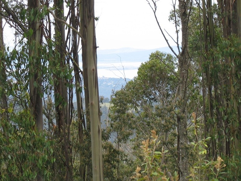 132 Roberts Road, Kaoota TAS 7150