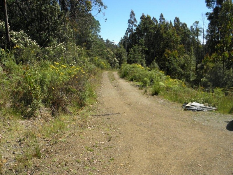 132 Roberts Road, Kaoota TAS 7150