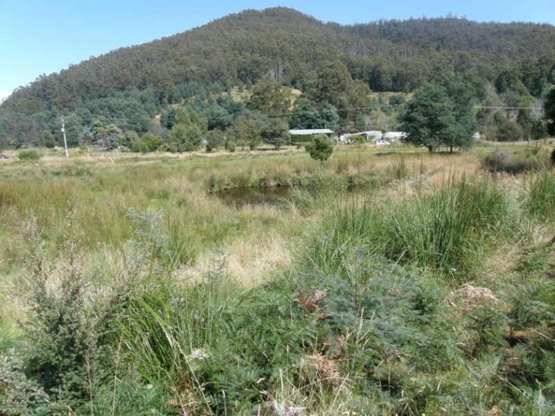 1237 Nicholls Rivulet Road, Nicholls Rivulet TAS 7112