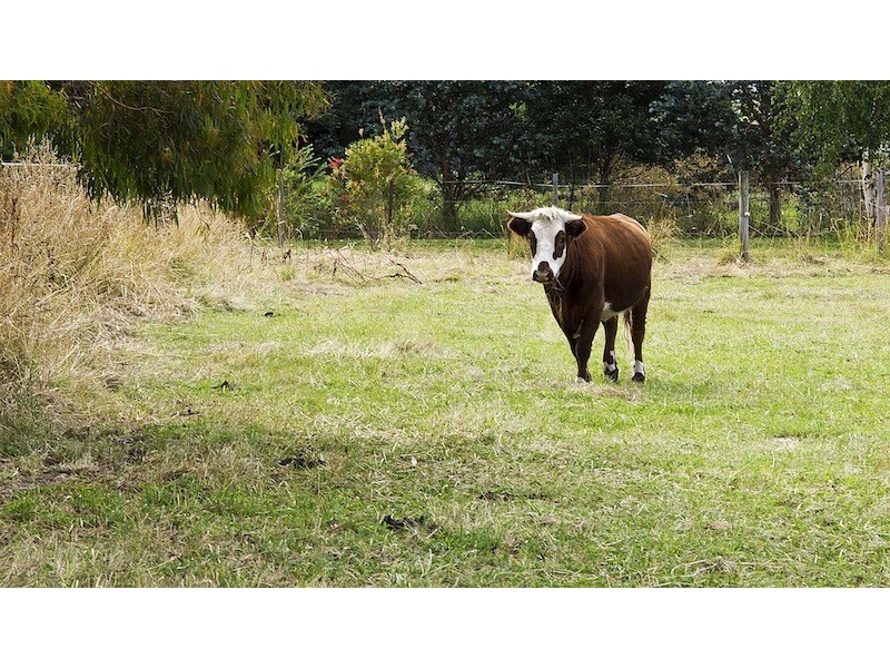 119 Allens Rivulet Road, Allens Rivulet TAS 7150