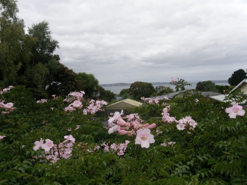 26 Gourlay Street, Blackmans Bay TAS 7052