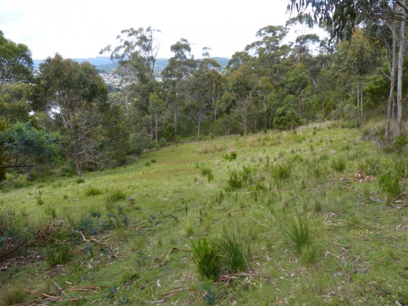 657 Channel Highway, Bonnet Hill TAS 7053