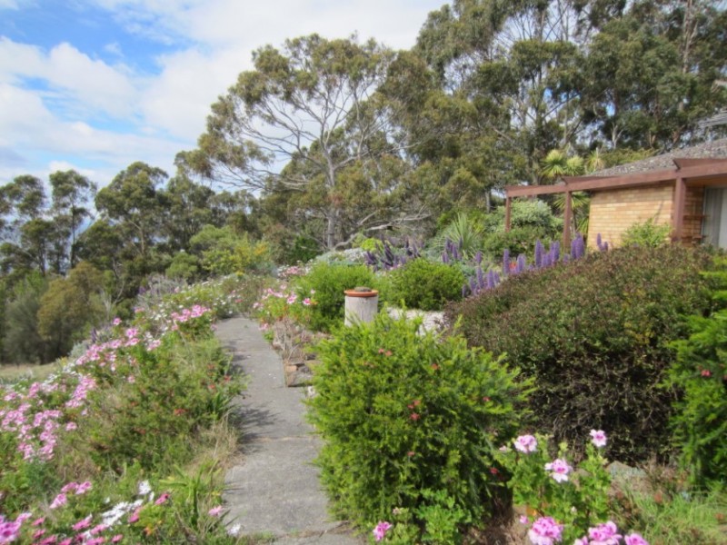 239 Tinderbox Road, Tinderbox TAS 7054