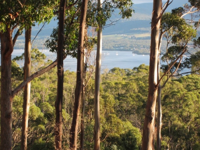 519 Tinderbox Road, Howden TAS 7054