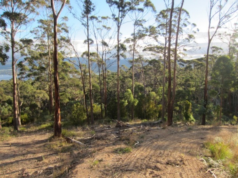 519 Tinderbox Road, Howden TAS 7054