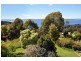 66 Jindabyne Road, Kingston Beach TAS 7050