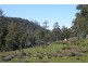 Lot 2 411 Woodbridge Hill Road, Woodbridge TAS 7162