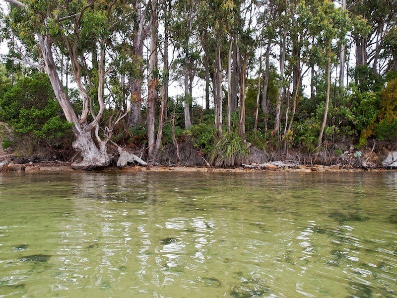 3865 Channel Highway, Birchs Bay TAS 7162