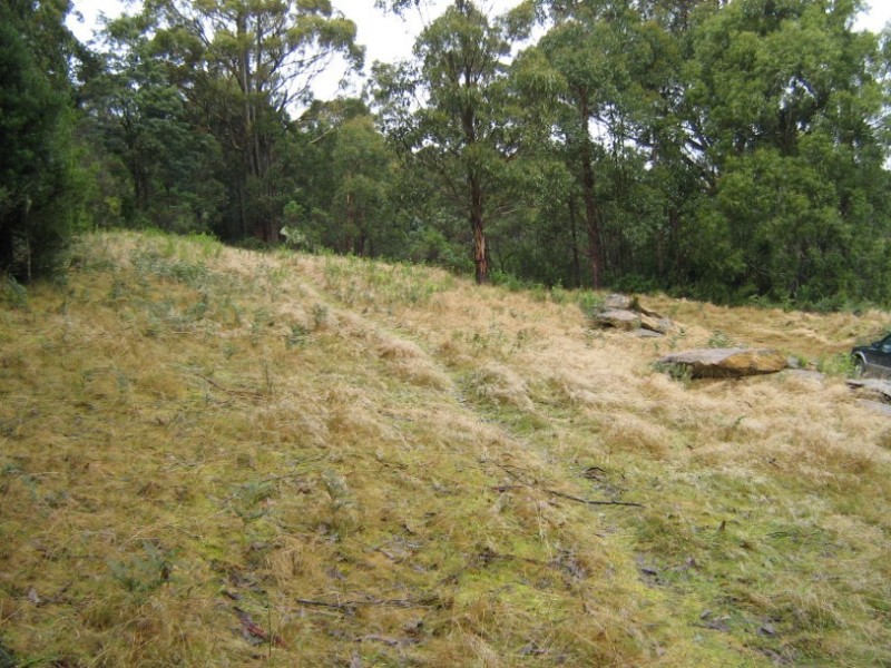 84 Clarks Road, Lower Longley TAS 7109