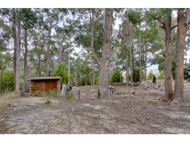61 Hackford Drive, Kingston TAS 7050