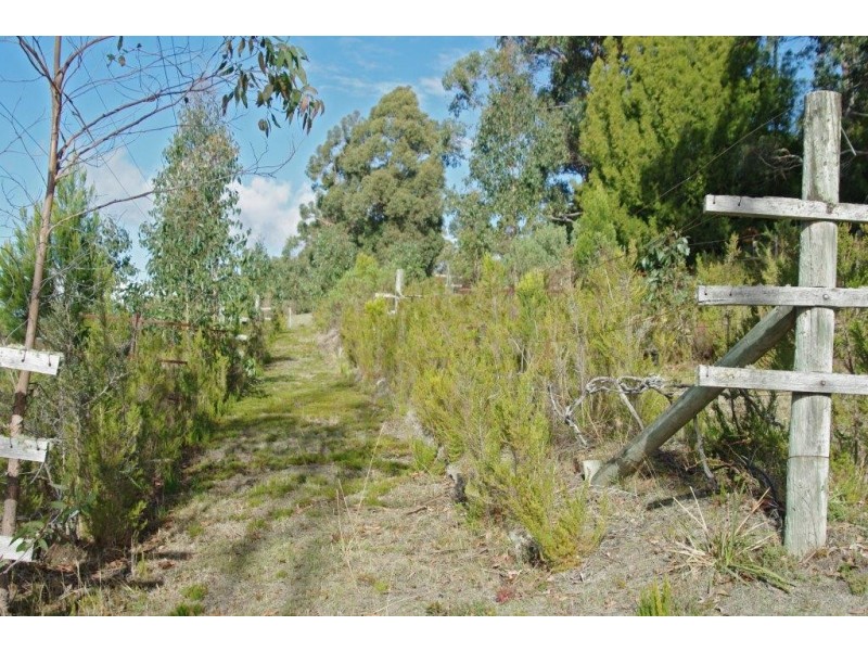 61 Hackford Drive, Kingston TAS 7050