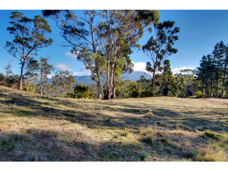237 Albion Heights Drive, Kingston TAS 7050