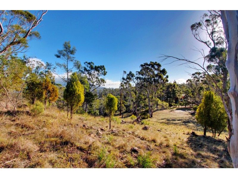 237 Albion Heights Drive, Kingston TAS 7050