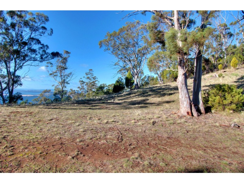 237 Albion Heights Drive, Kingston TAS 7050