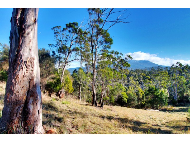 237 Albion Heights Drive, Kingston TAS 7050