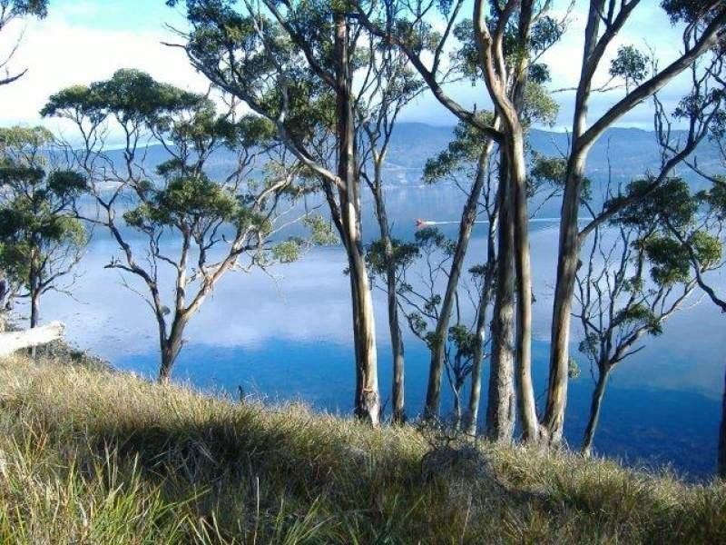 30 Youngs Road, Apollo Bay TAS 7150