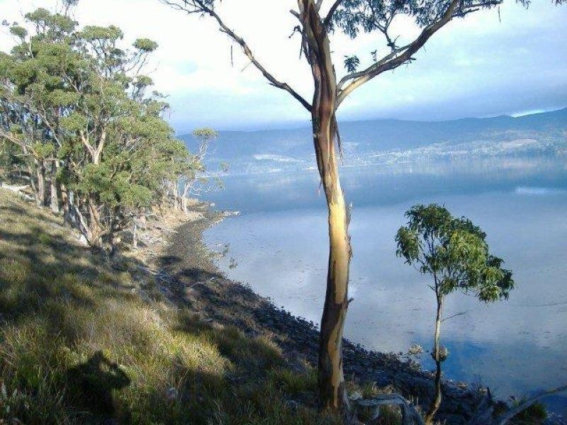 30 Youngs Road, Apollo Bay TAS 7150