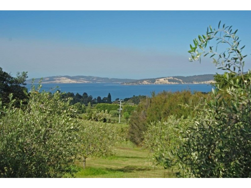Lot 1, 99 Thomas Road, Woodbridge TAS 7162