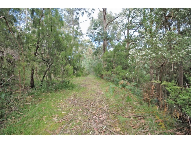 110 Snug Tiers Road, Snug TAS 7054