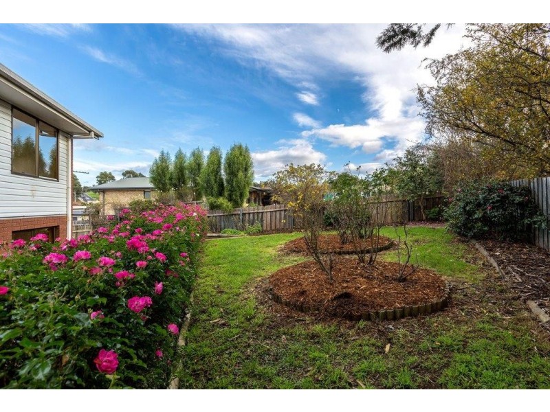 19 Drysdale Avenue, Kingston TAS 7050