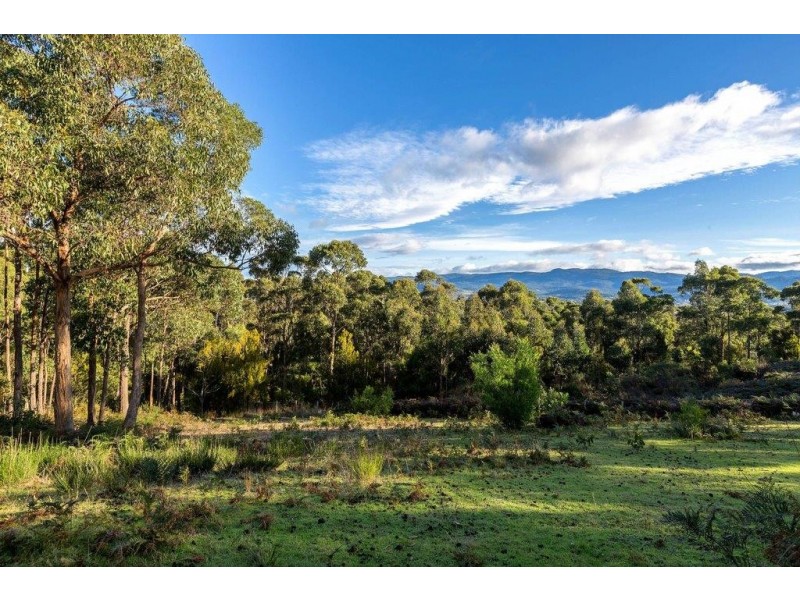 3 Billanbri Court, Blackmans Bay TAS 7052