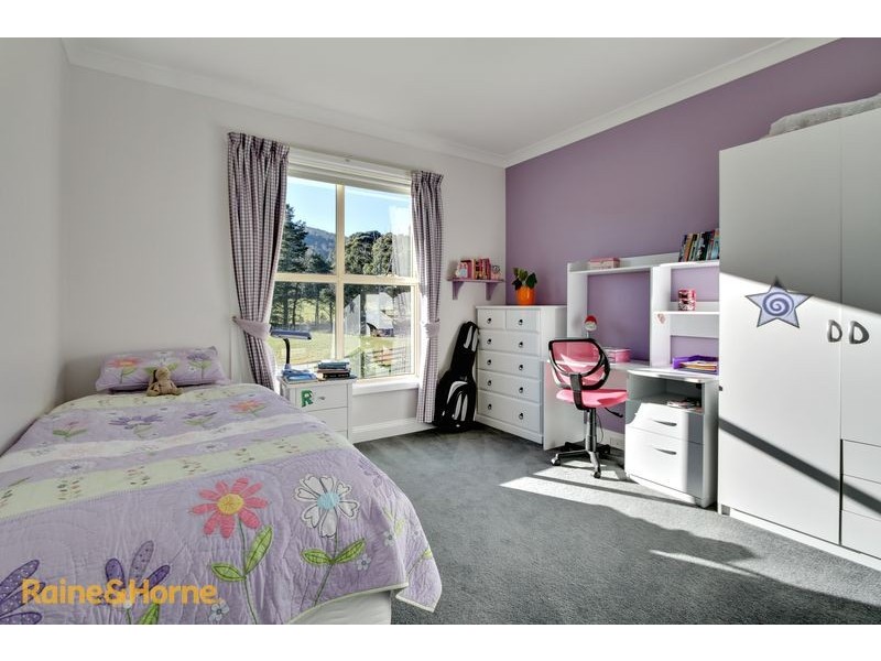 195 Wolfes Road, Neika TAS 7054