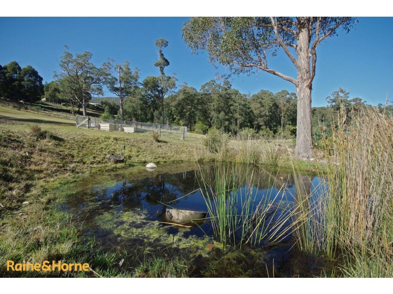 144A Misty Hill Road, Mountain River TAS 7109