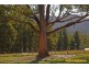 144A Misty Hill Road, Mountain River TAS 7109