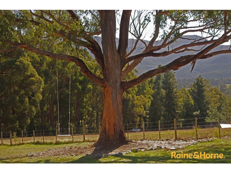 144A Misty Hill Road, Mountain River TAS 7109