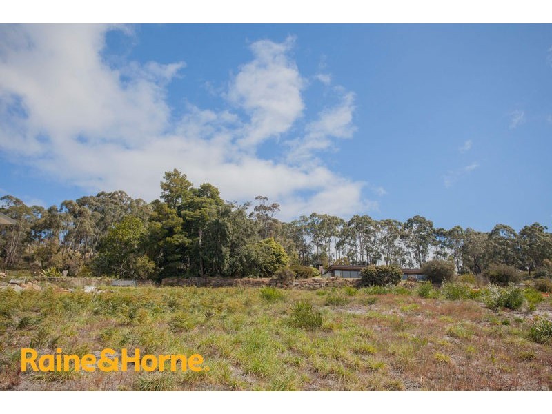 11 Caladium Place, Blackmans Bay TAS 7052