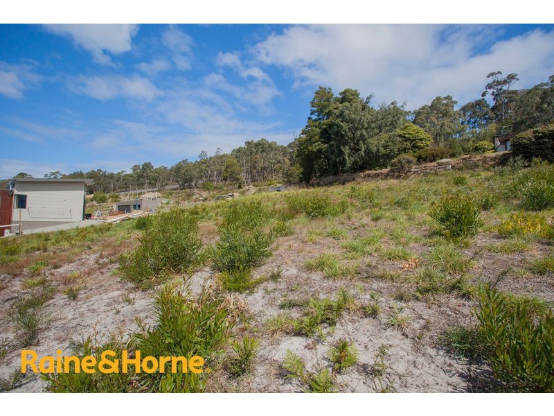 11 Caladium Place, Blackmans Bay TAS 7052