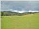 14 Kiles Road, Castle Forbes Bay TAS 7116