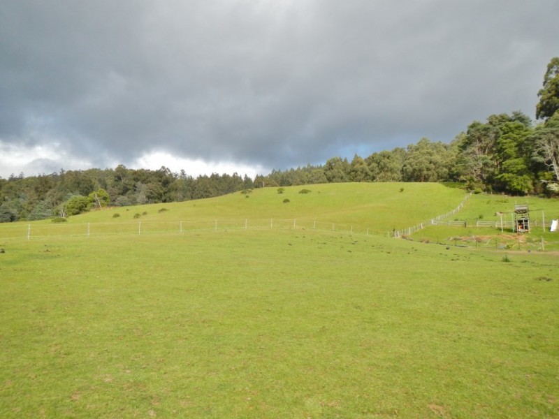 14 Kiles Road, Castle Forbes Bay TAS 7116