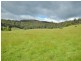 14 Kiles Road, Castle Forbes Bay TAS 7116