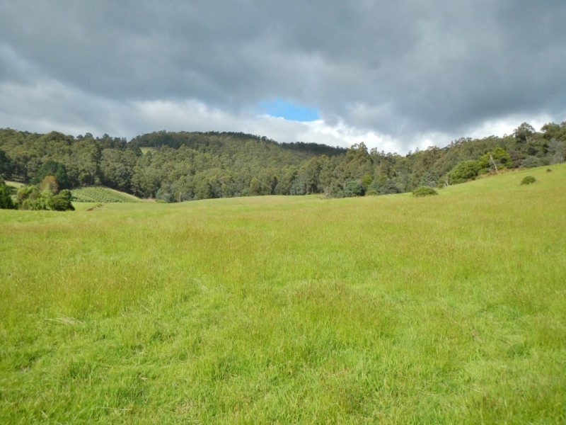 14 Kiles Road, Castle Forbes Bay TAS 7116