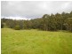 14 Kiles Road, Castle Forbes Bay TAS 7116