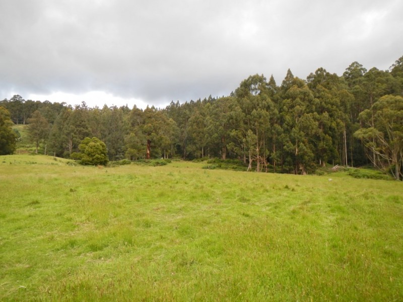 14 Kiles Road, Castle Forbes Bay TAS 7116