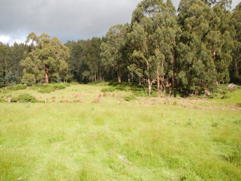 14 Kiles Road, Castle Forbes Bay TAS 7116