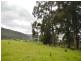 14 Kiles Road, Castle Forbes Bay TAS 7116