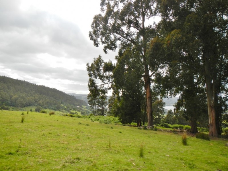 14 Kiles Road, Castle Forbes Bay TAS 7116