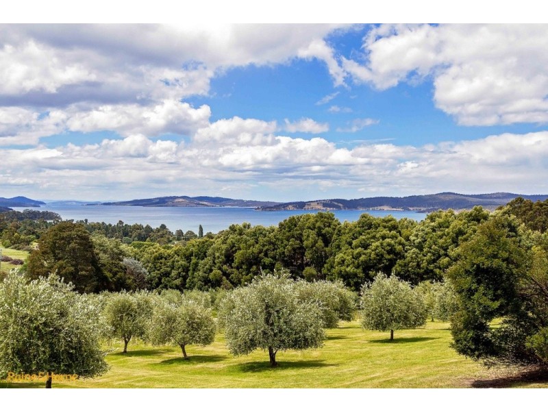 99 Thomas Road, Woodbridge TAS 7162