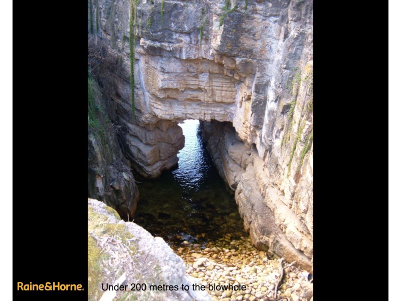 33 Blowhole Road, Blackmans Bay TAS 7052